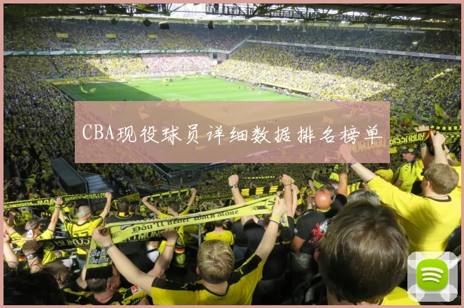 CBA现役球员详细数据排名榜单