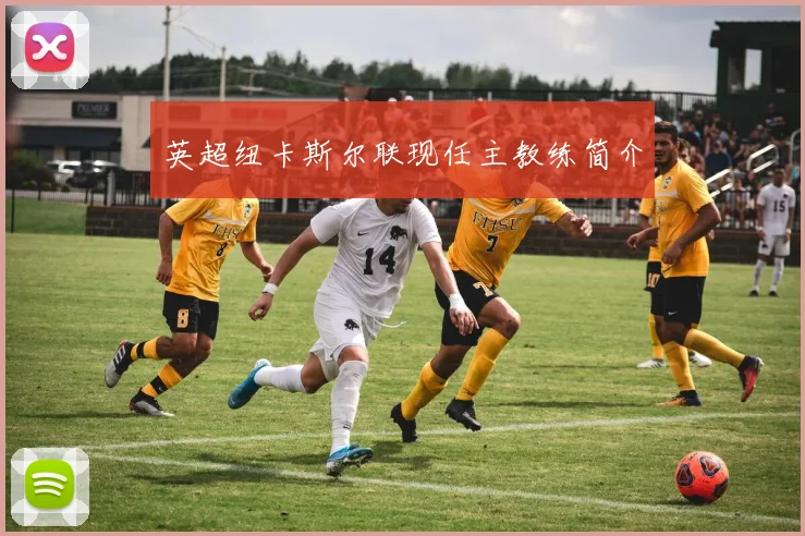 英超纽卡斯尔联现任主教练简介