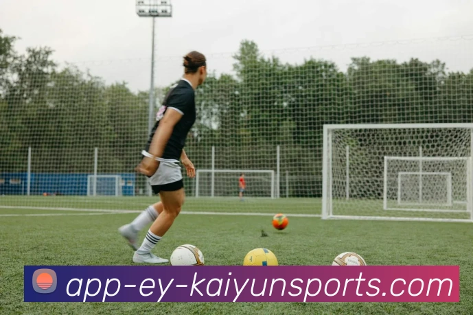 App Interface Preview