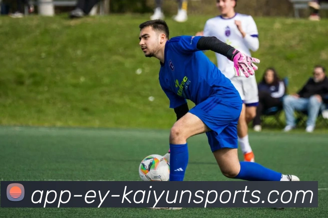 开云体育APP 封面图